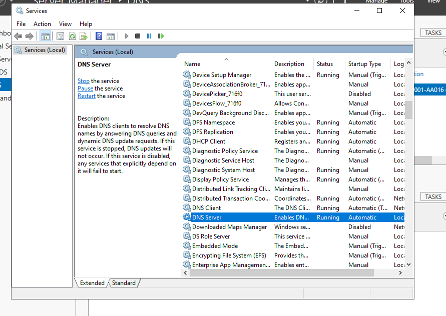 services.msc picture