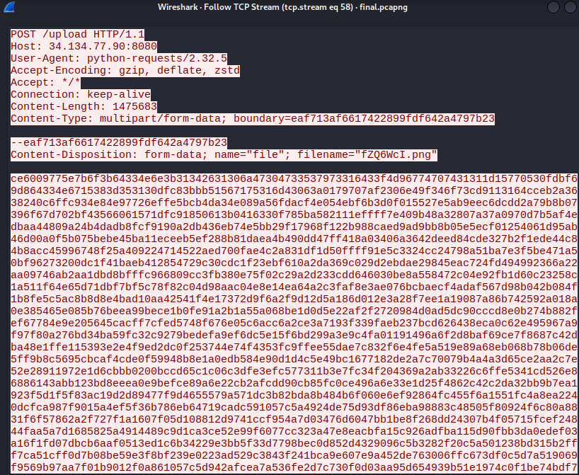 example of tcp stream