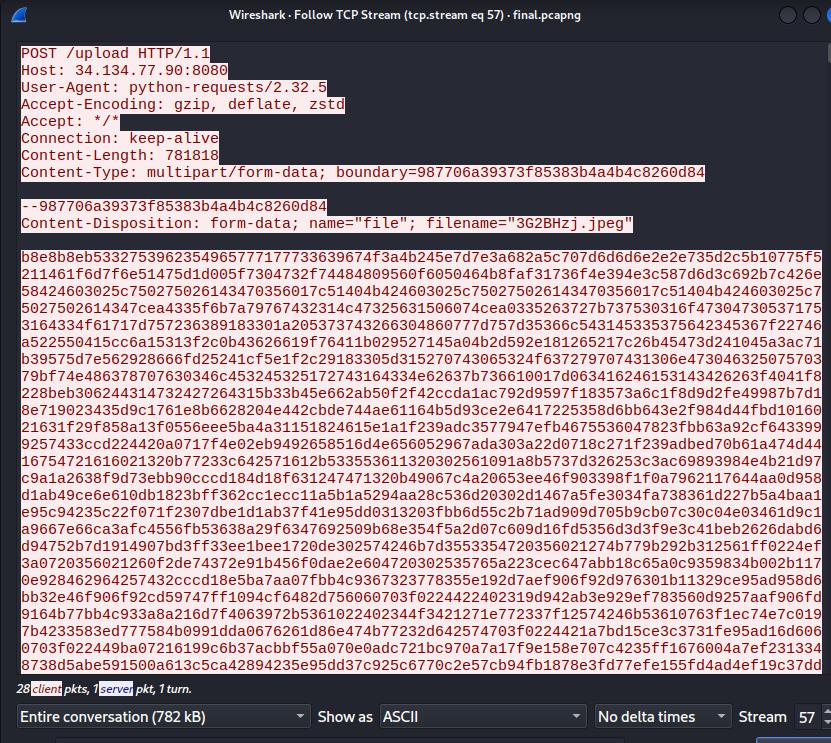 example of tcp stream